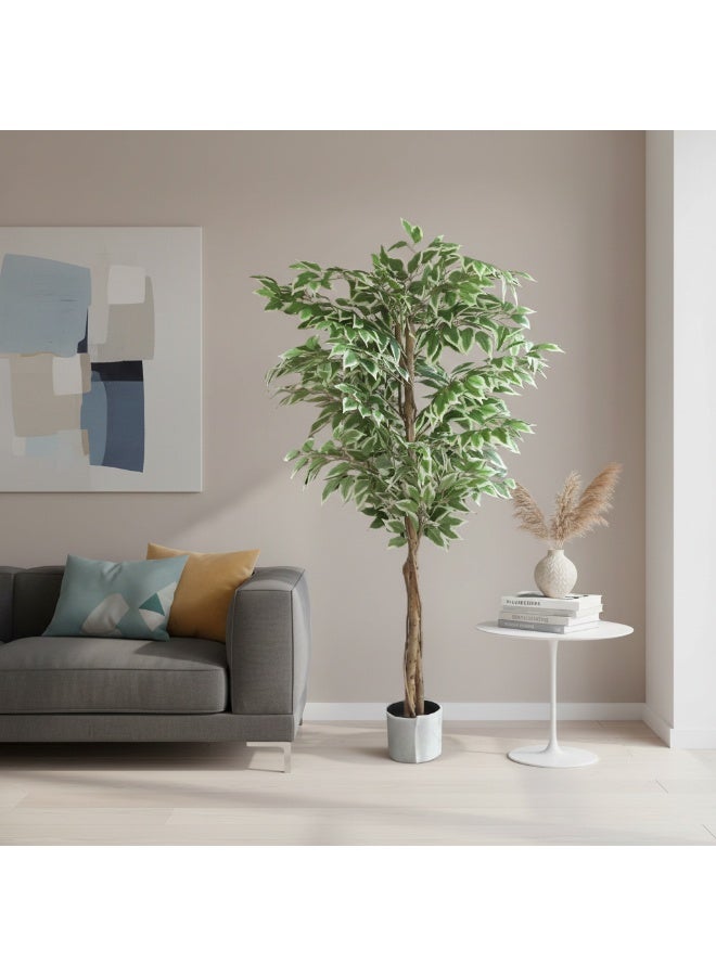 Sharpdo 150CM Artificial Variegated Ficus Tree, Lifelike Faux Variegated Ficus Plant with Natural Wood Trunk, Low Maintenance Fake Floor Plant for Home Office Living Room Corner Decor, Potted - Image 2